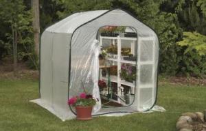 Cool greenhouse